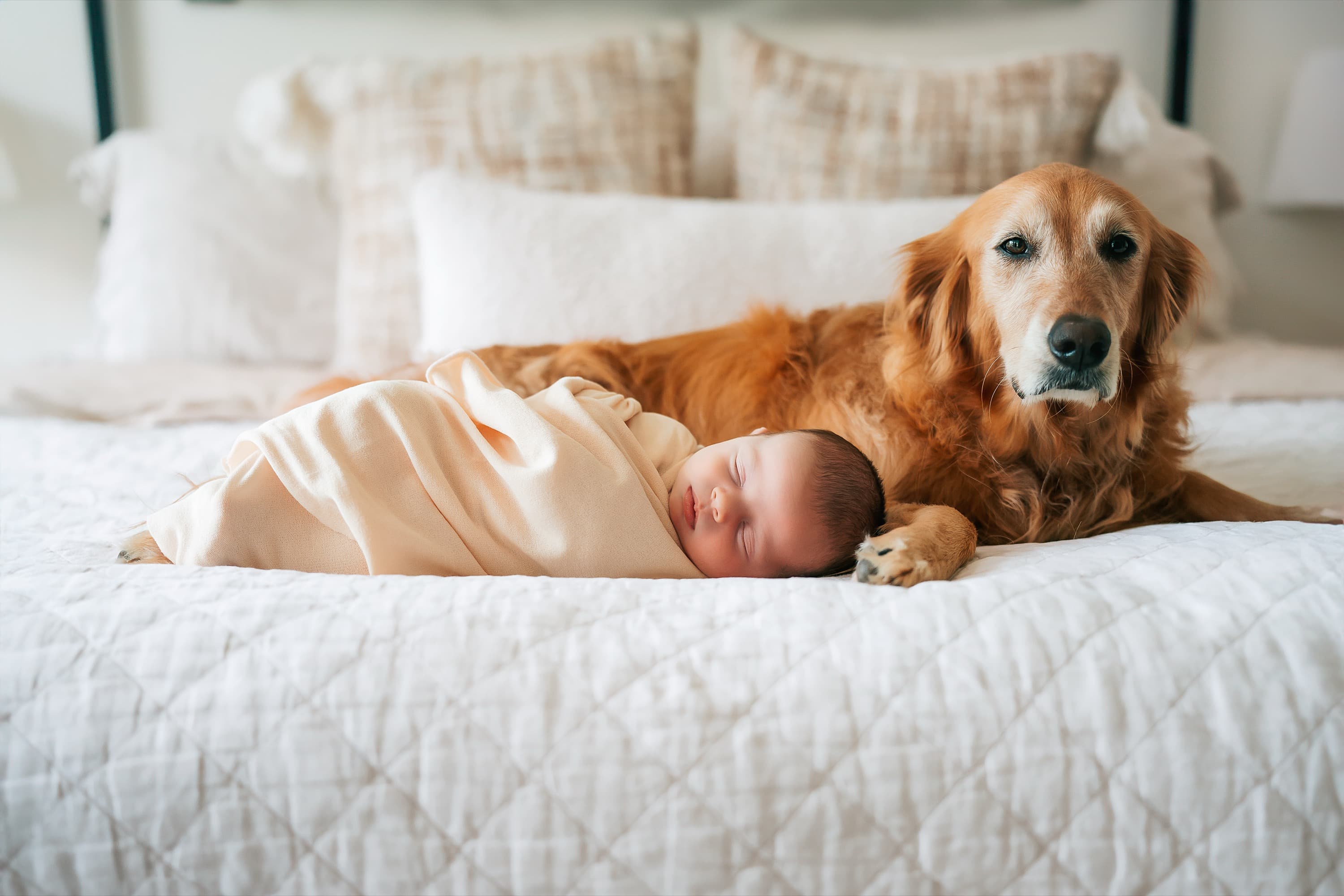 Newborn portrait session Austin